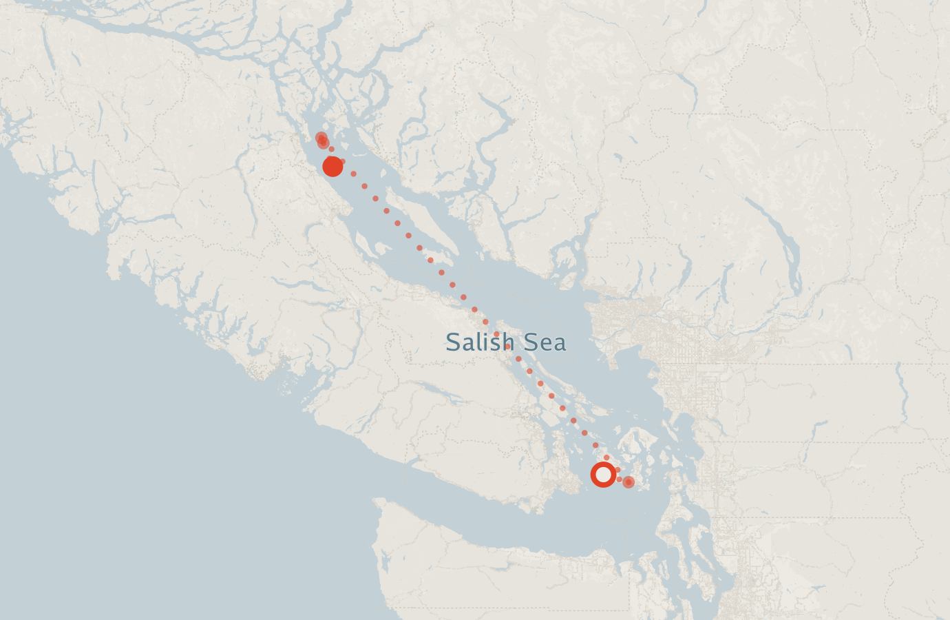 Activity map — real sighting points on an OpenStreetMap basemap