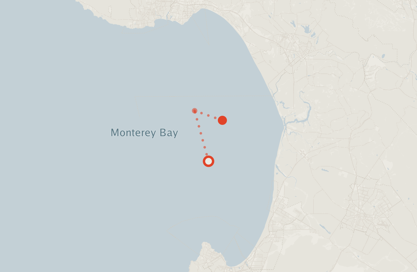 Activity map — real sighting points on an OpenStreetMap basemap