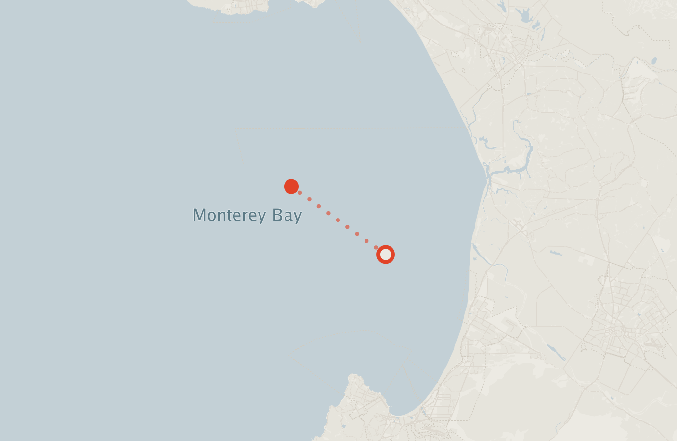 Activity map — real sighting points on an OpenStreetMap basemap