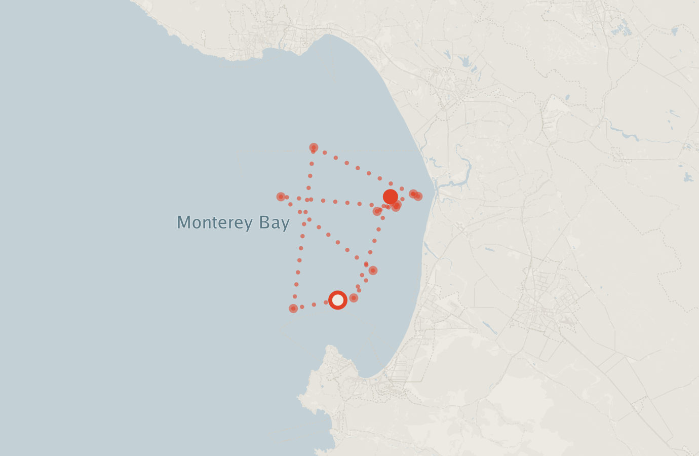 Activity map — real sighting points on an OpenStreetMap basemap