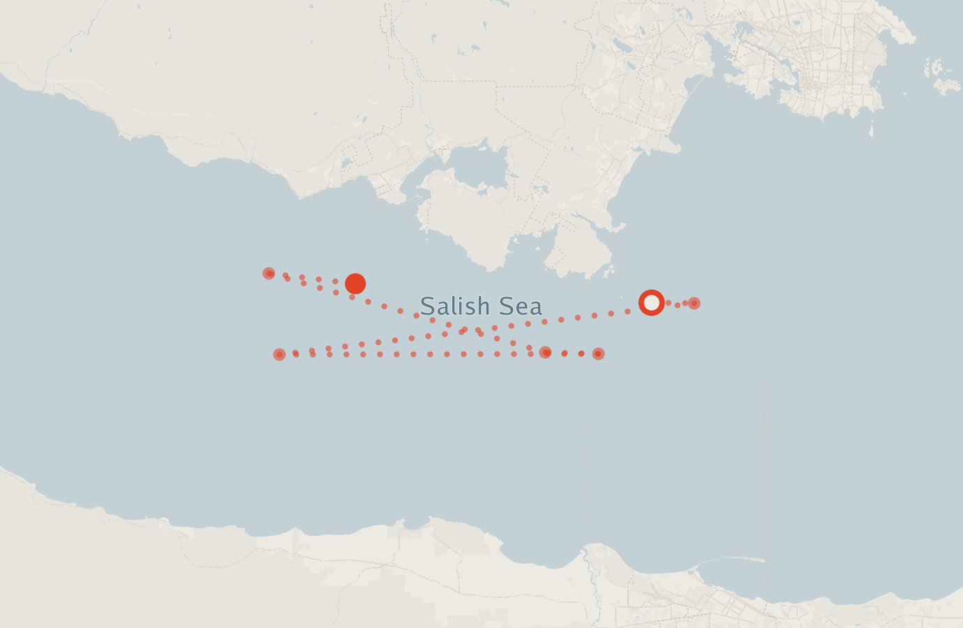 Activity map — real sighting points on an OpenStreetMap basemap