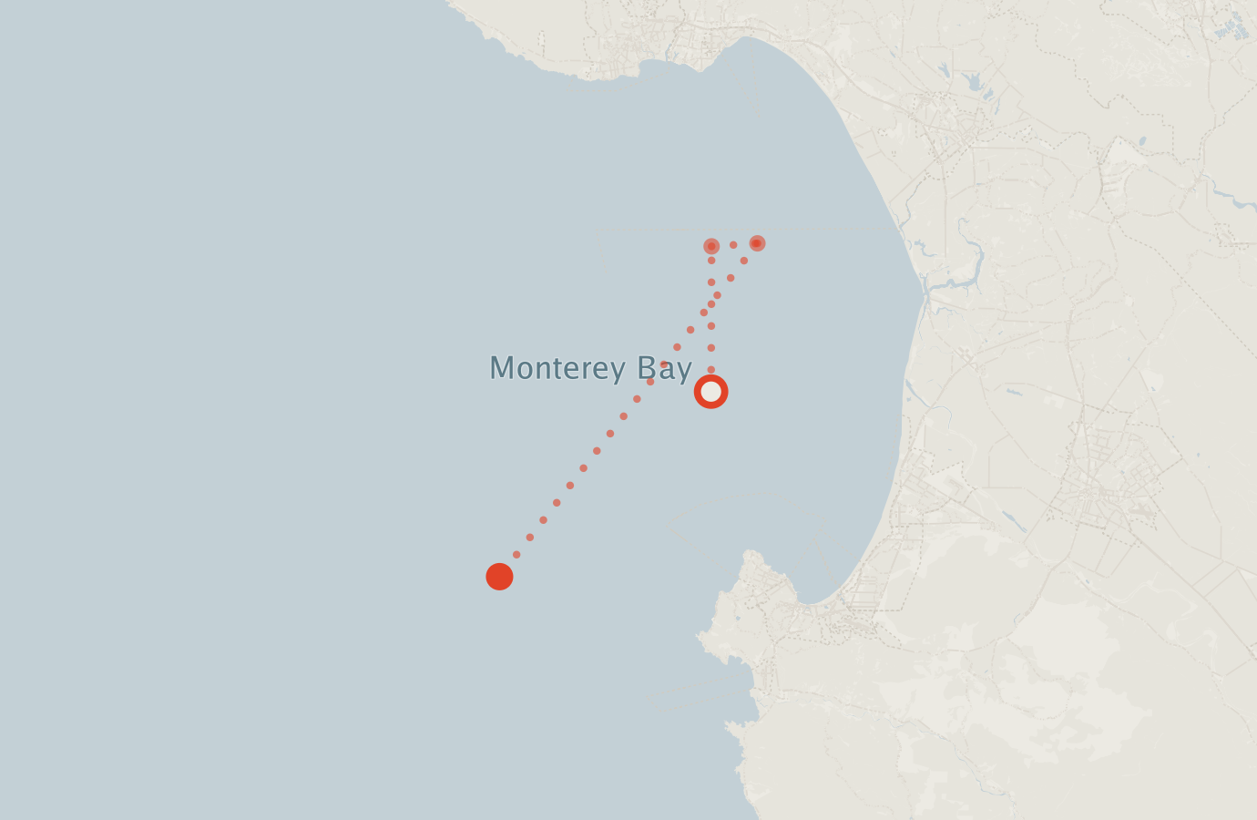 Activity map — real sighting points on an OpenStreetMap basemap