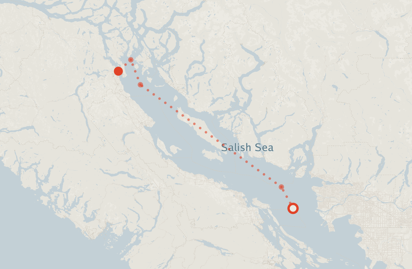 Activity map — real sighting points on an OpenStreetMap basemap