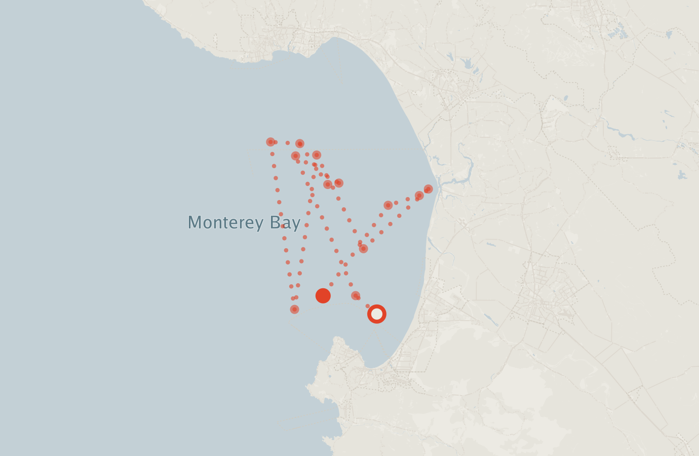 Activity map — real sighting points on an OpenStreetMap basemap