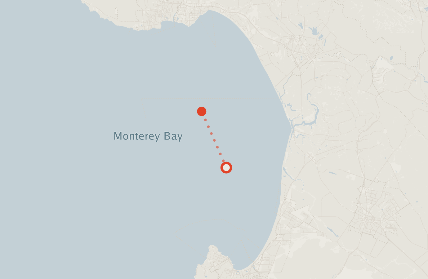 Activity map — real sighting points on an OpenStreetMap basemap