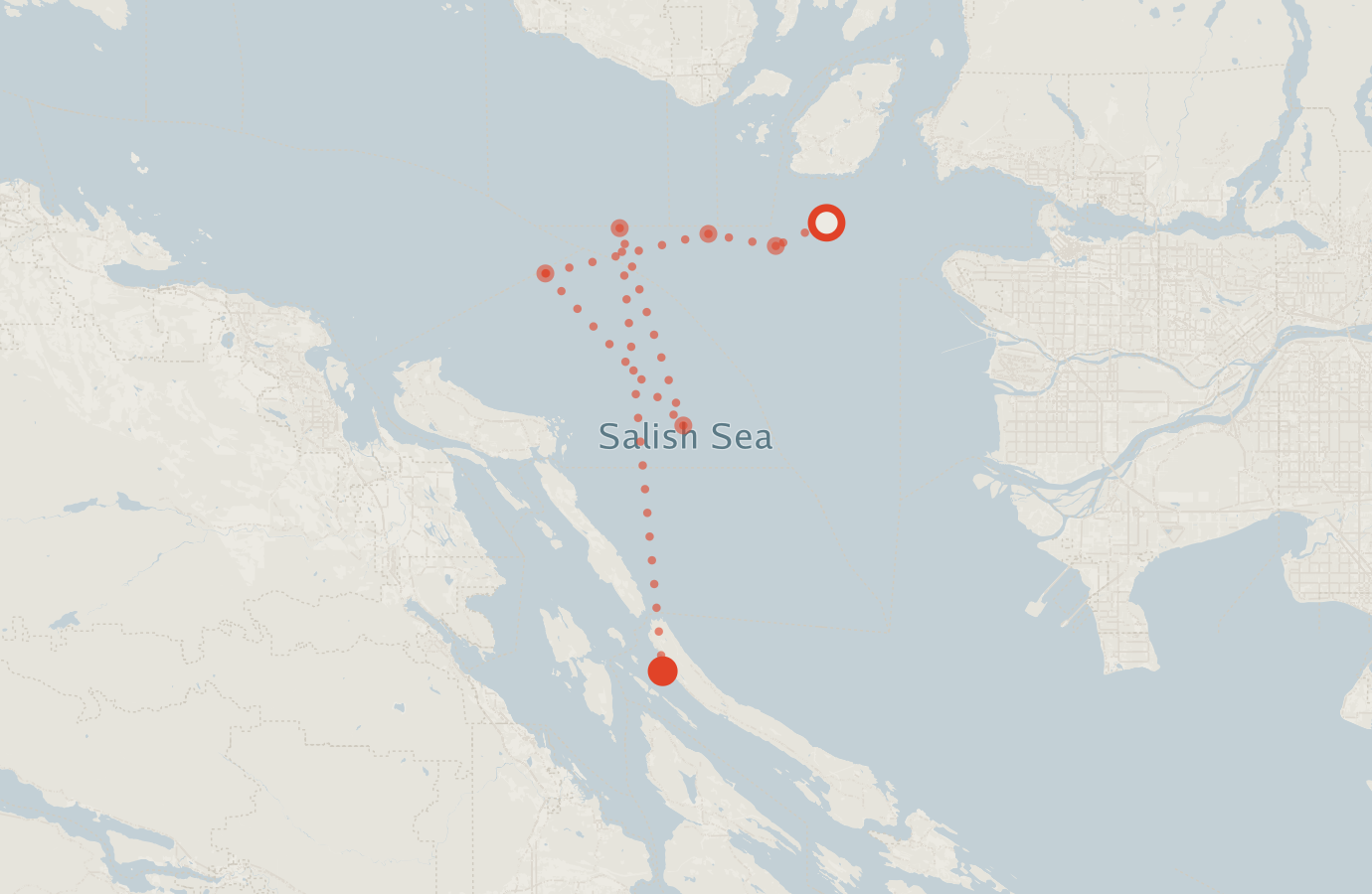 Activity map — real sighting points on an OpenStreetMap basemap