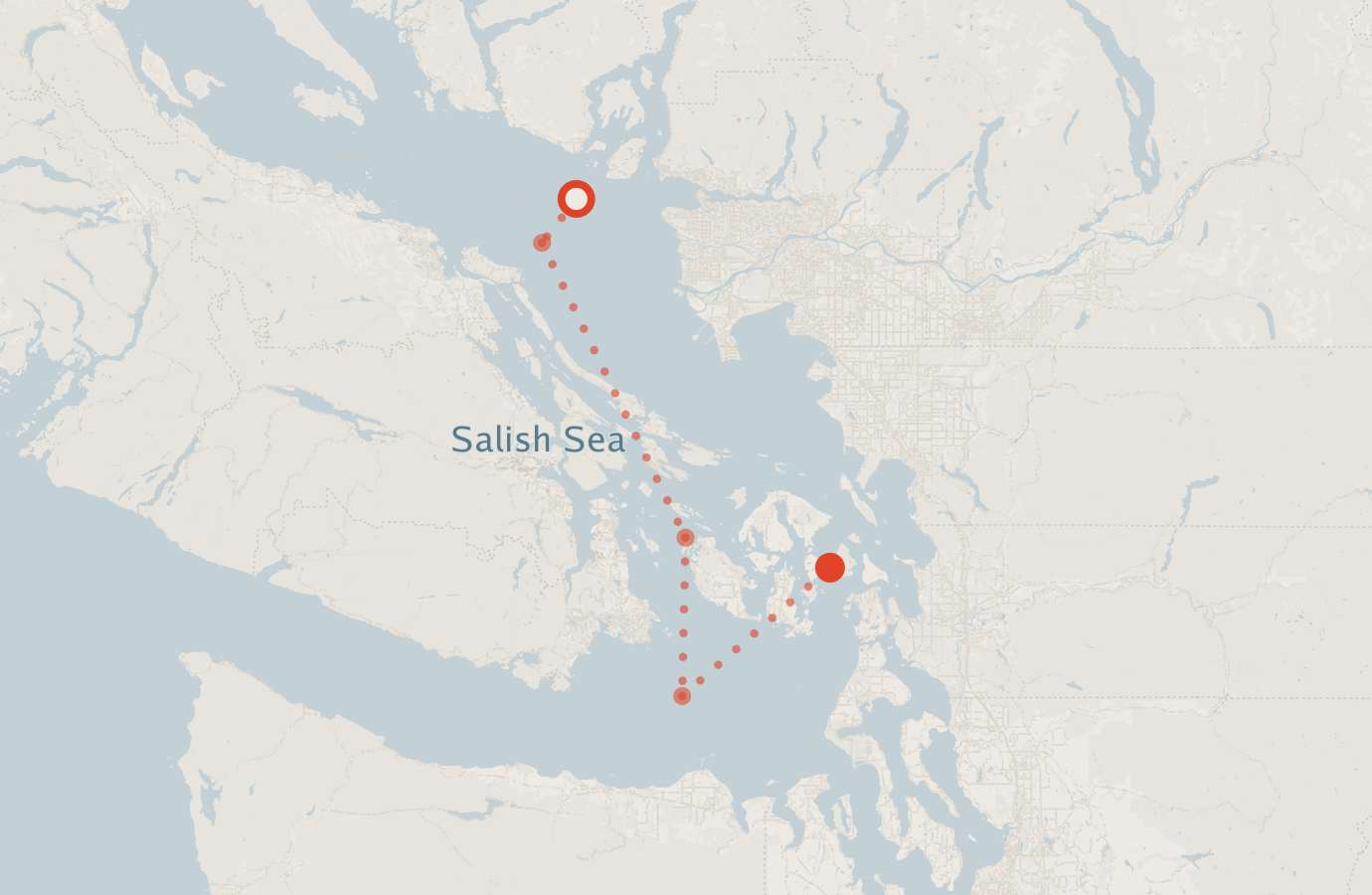 Activity map — real sighting points on an OpenStreetMap basemap