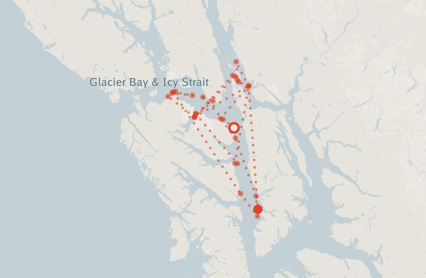 Activity map — real sighting points on an OpenStreetMap basemap