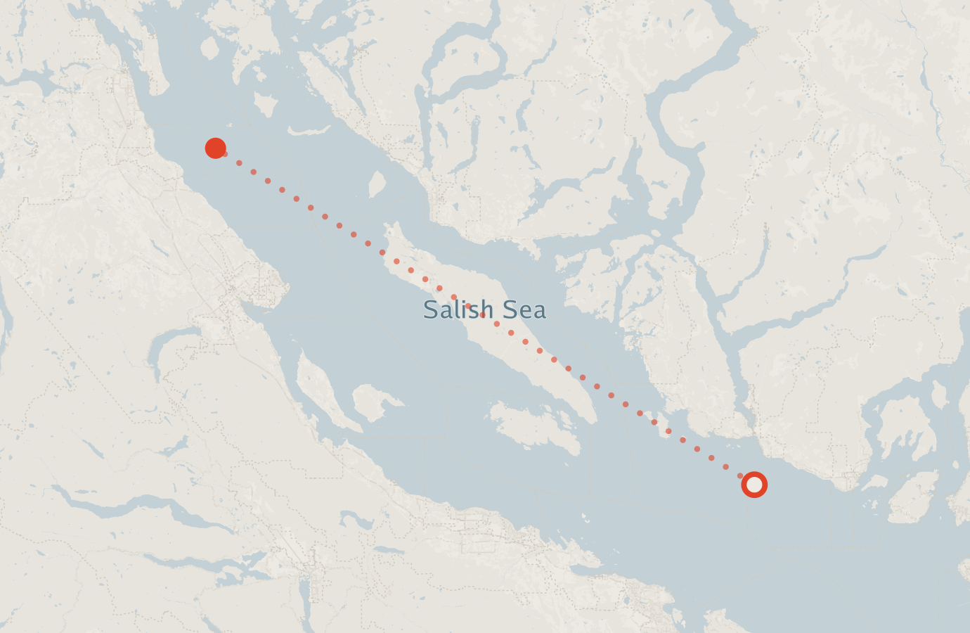 Activity map — real sighting points on an OpenStreetMap basemap