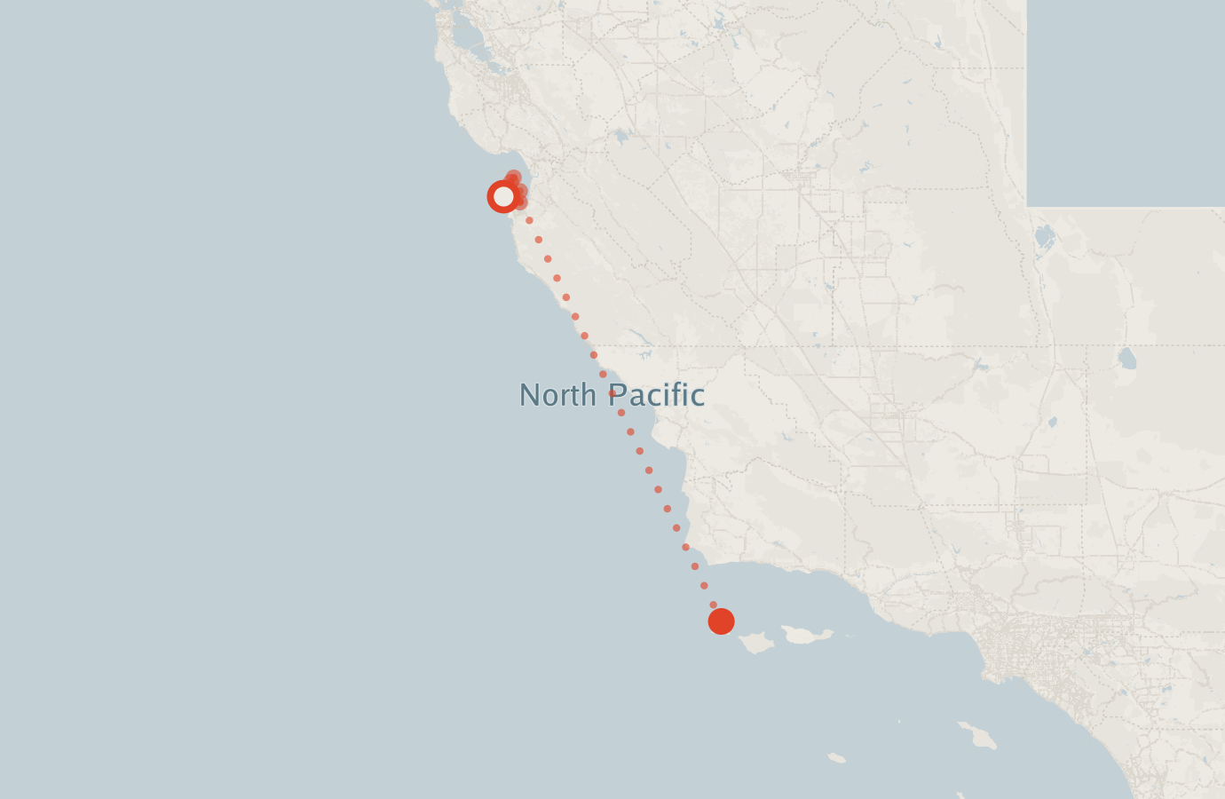 Activity map — real sighting points on an OpenStreetMap basemap