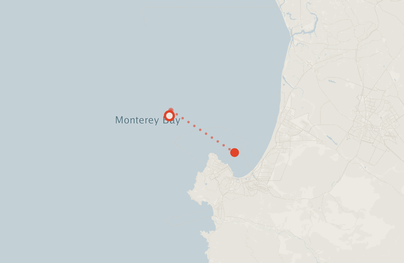 Activity map — real sighting points on an OpenStreetMap basemap