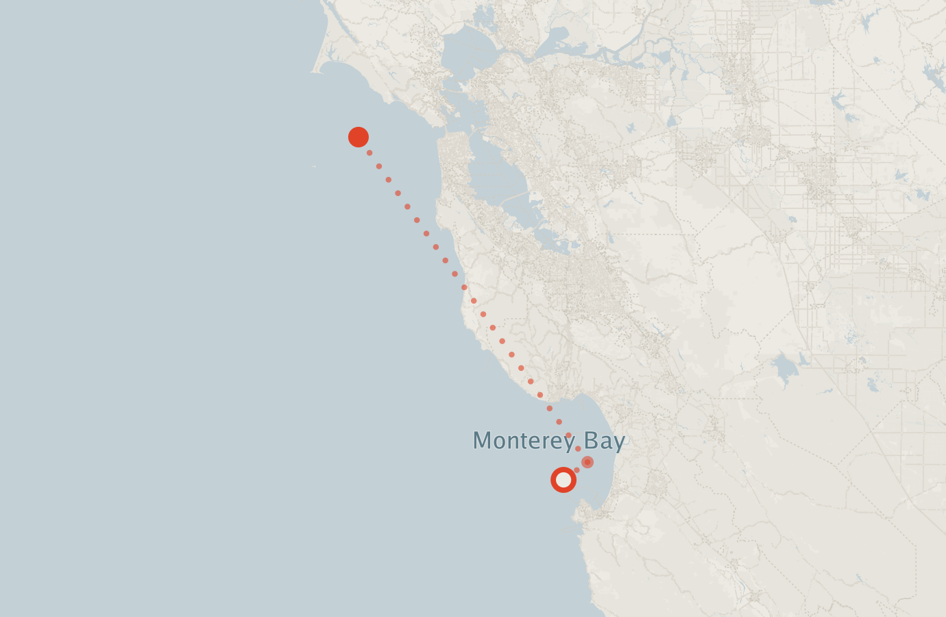 Activity map — real sighting points on an OpenStreetMap basemap