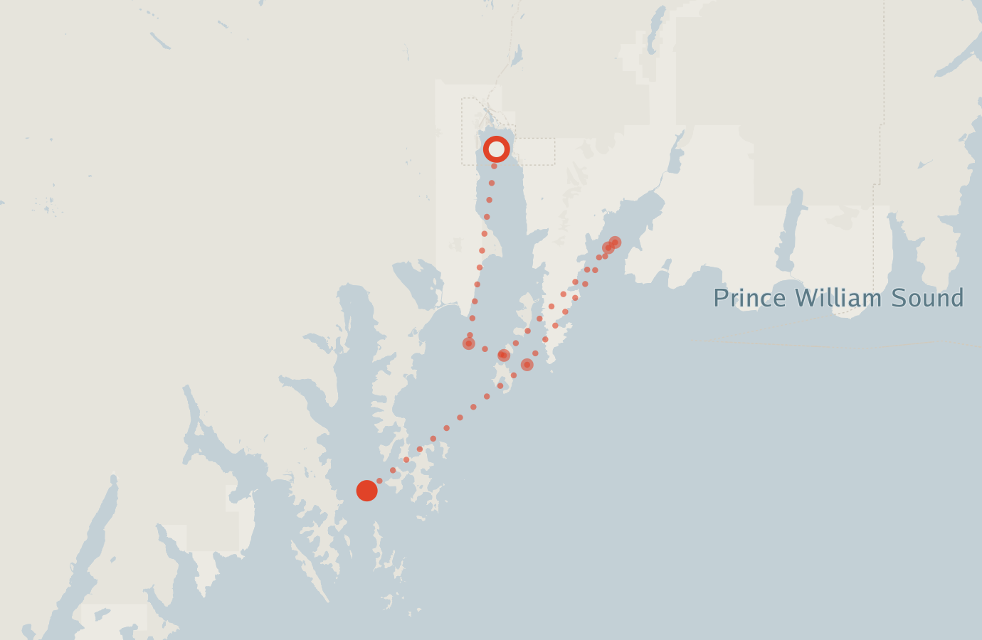 Activity map — real sighting points on an OpenStreetMap basemap