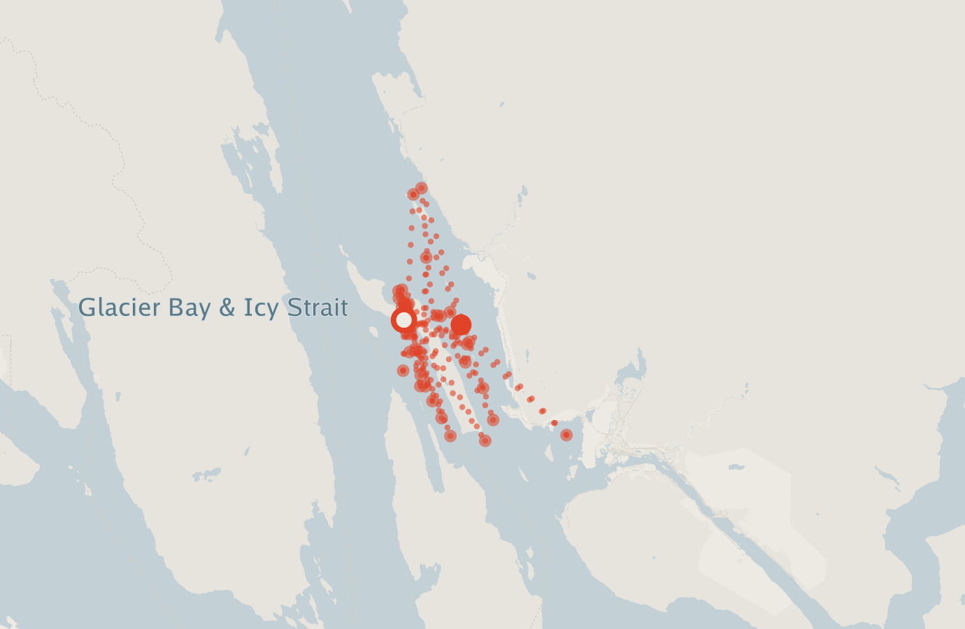 Activity map — real sighting points on an OpenStreetMap basemap