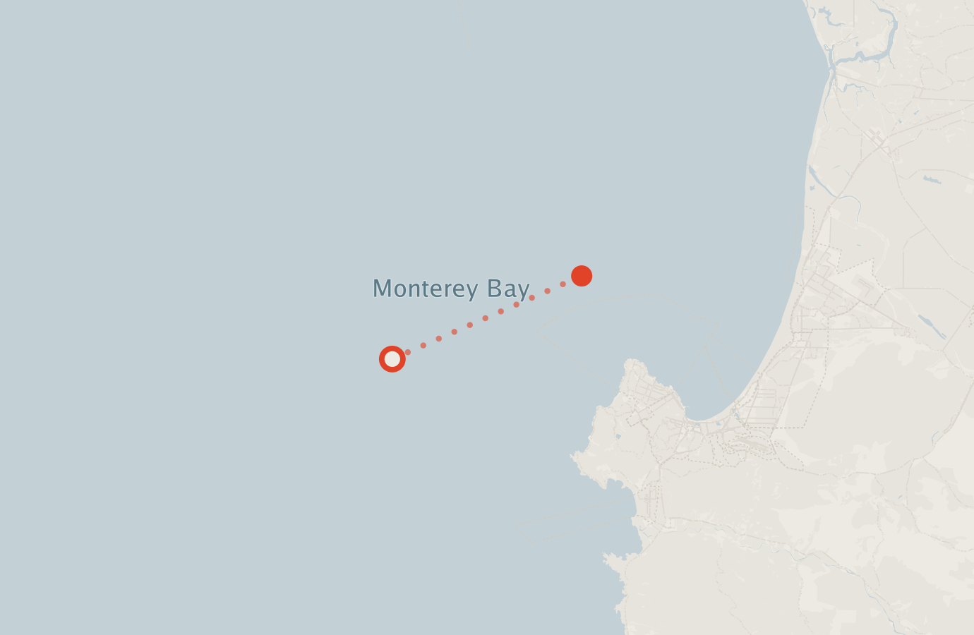 Activity map — real sighting points on an OpenStreetMap basemap