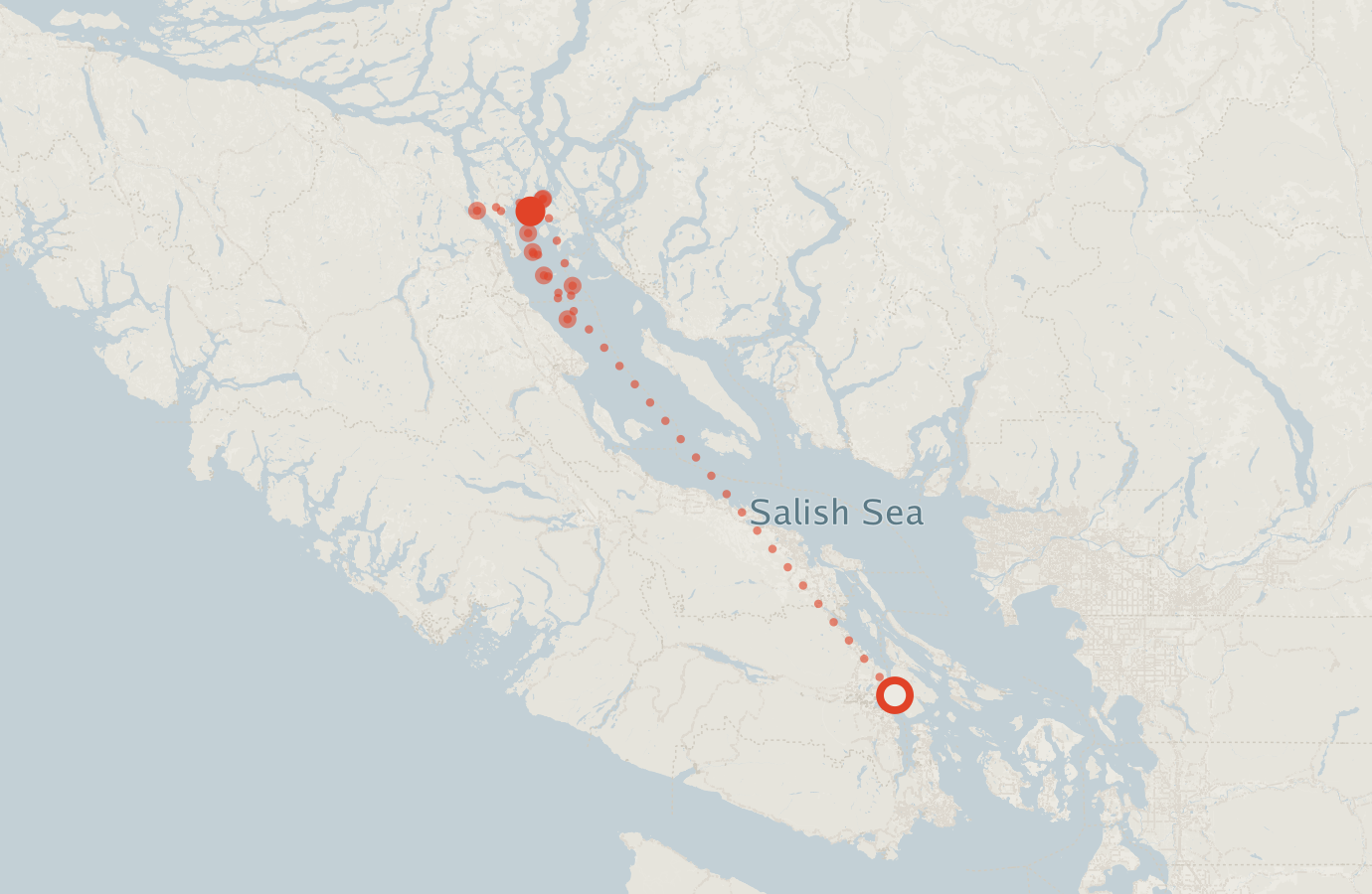 Activity map — real sighting points on an OpenStreetMap basemap