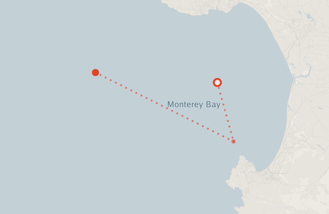 Activity map — real sighting points on an OpenStreetMap basemap