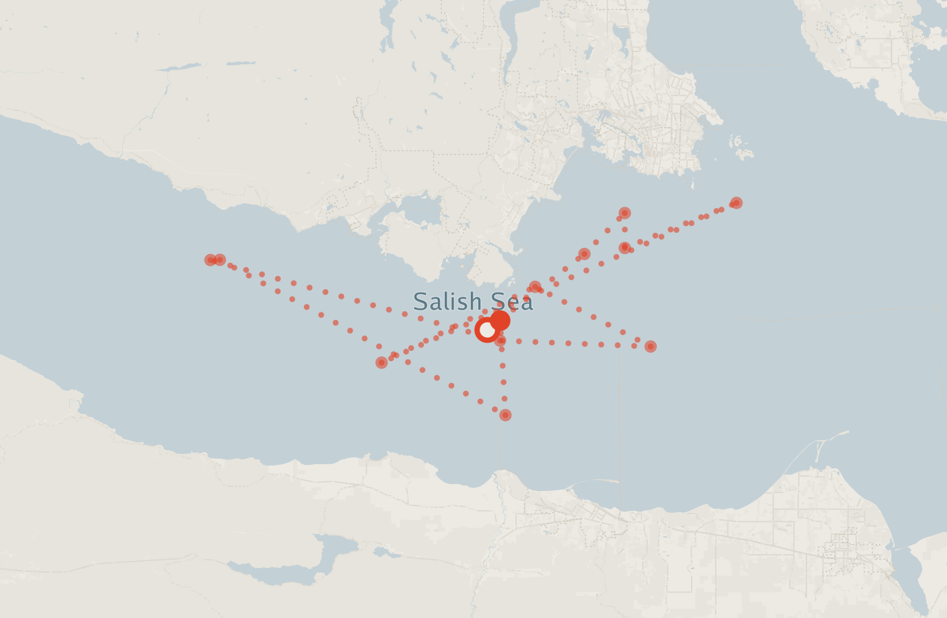 Activity map — real sighting points on an OpenStreetMap basemap
