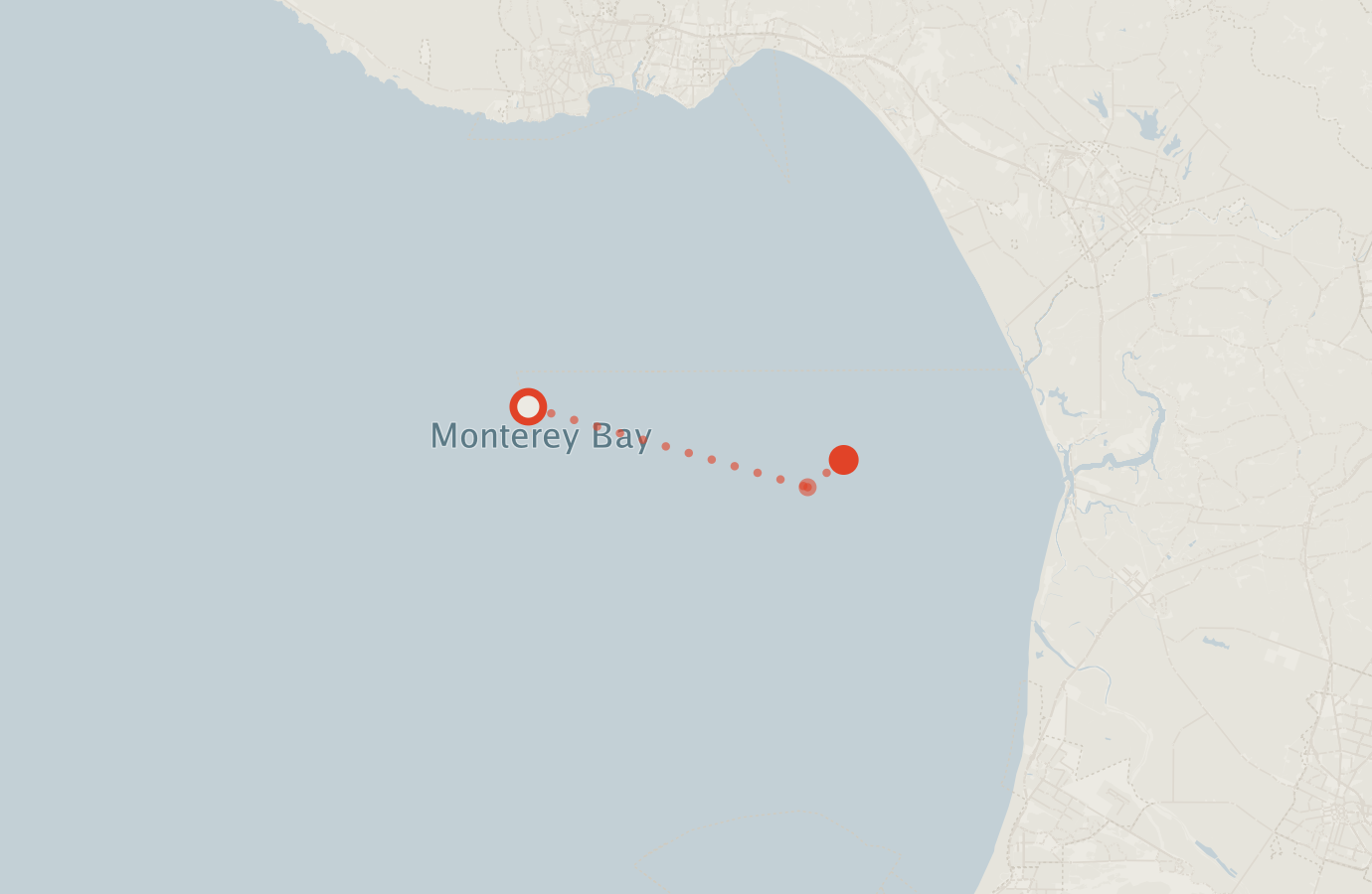 Activity map — real sighting points on an OpenStreetMap basemap