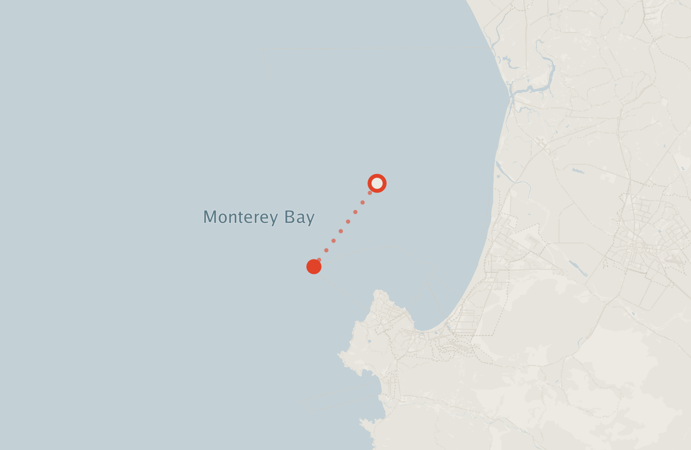 Activity map — real sighting points on an OpenStreetMap basemap