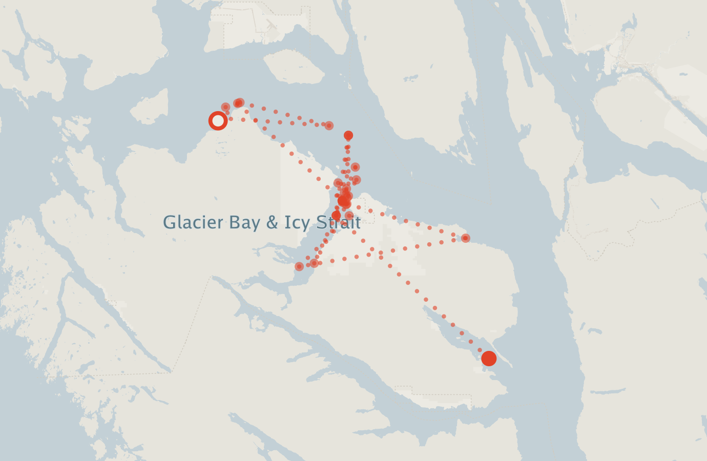 Activity map — real sighting points on an OpenStreetMap basemap