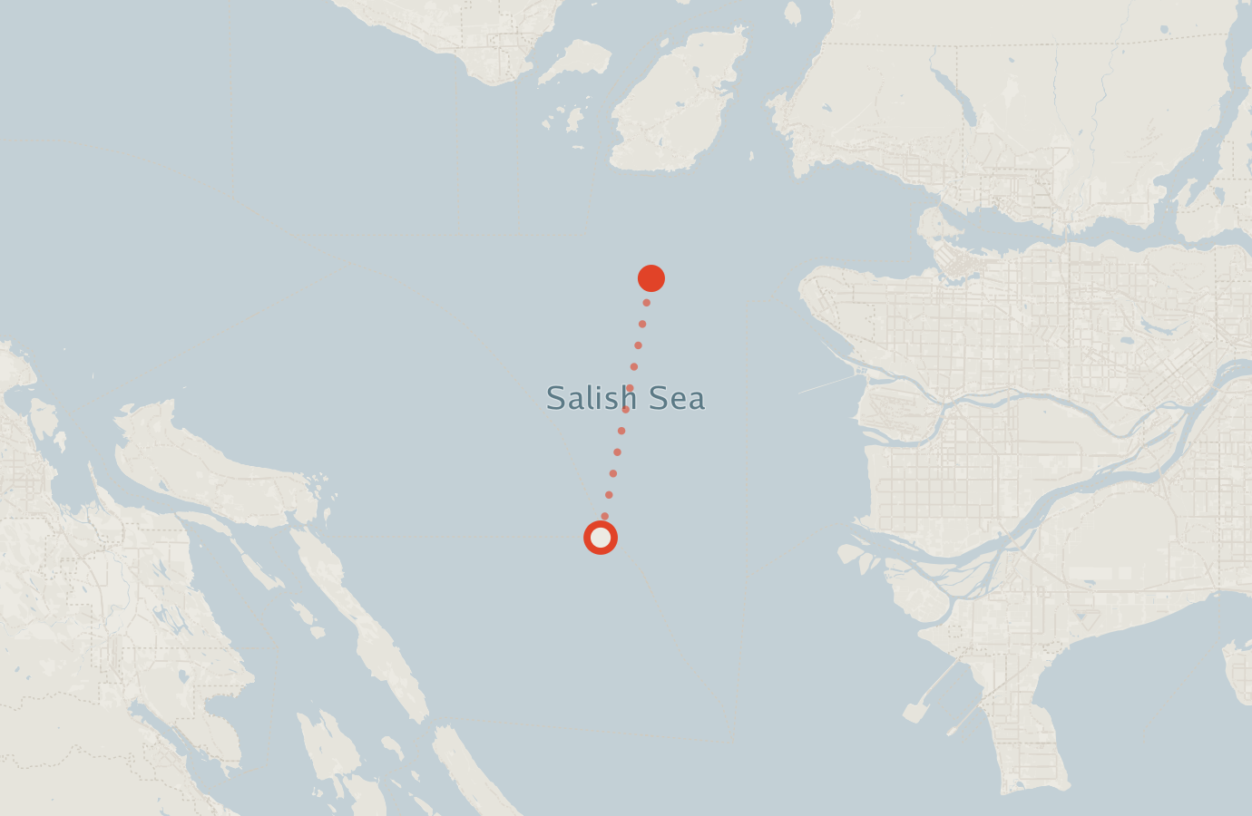 Activity map — real sighting points on an OpenStreetMap basemap