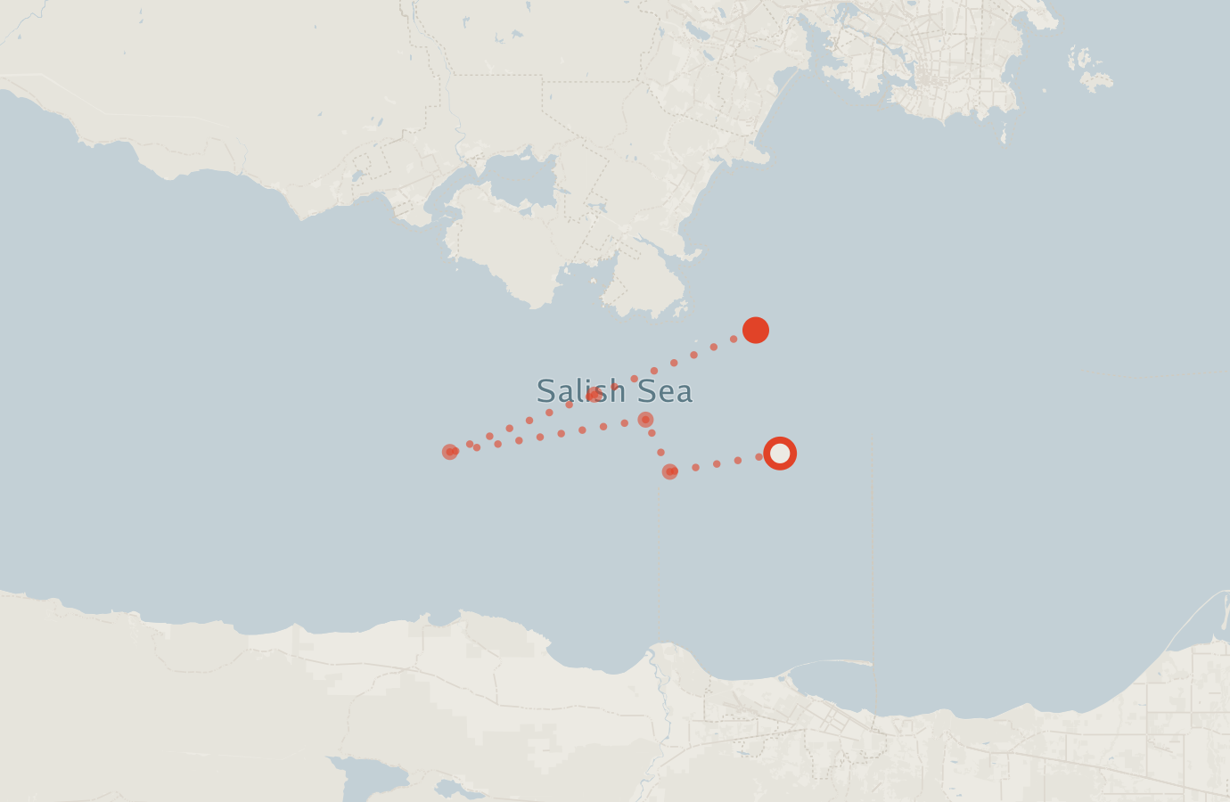 Activity map — real sighting points on an OpenStreetMap basemap