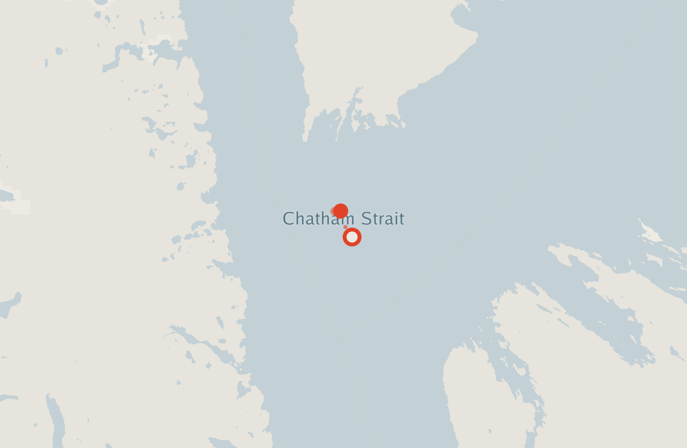 Activity map — real sighting points on an OpenStreetMap basemap