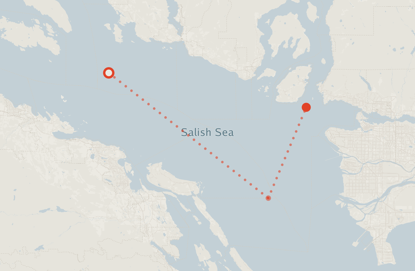 Activity map — real sighting points on an OpenStreetMap basemap