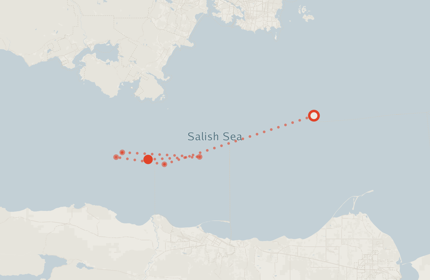 Activity map — real sighting points on an OpenStreetMap basemap