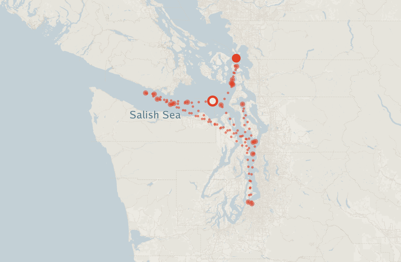 Activity map — real sighting points on an OpenStreetMap basemap