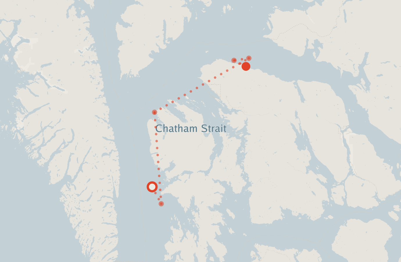 Activity map — real sighting points on an OpenStreetMap basemap
