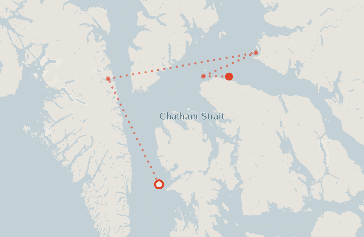 Activity map — real sighting points on an OpenStreetMap basemap