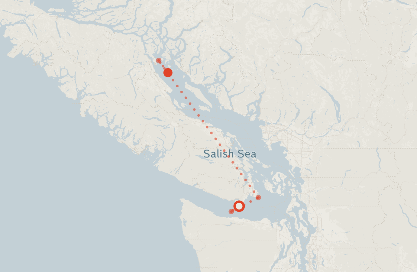 Activity map — real sighting points on an OpenStreetMap basemap