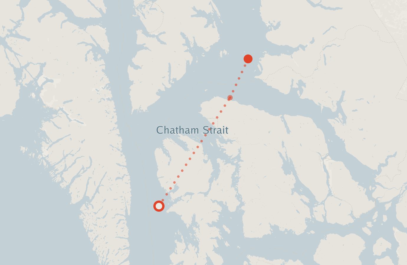 Activity map — real sighting points on an OpenStreetMap basemap