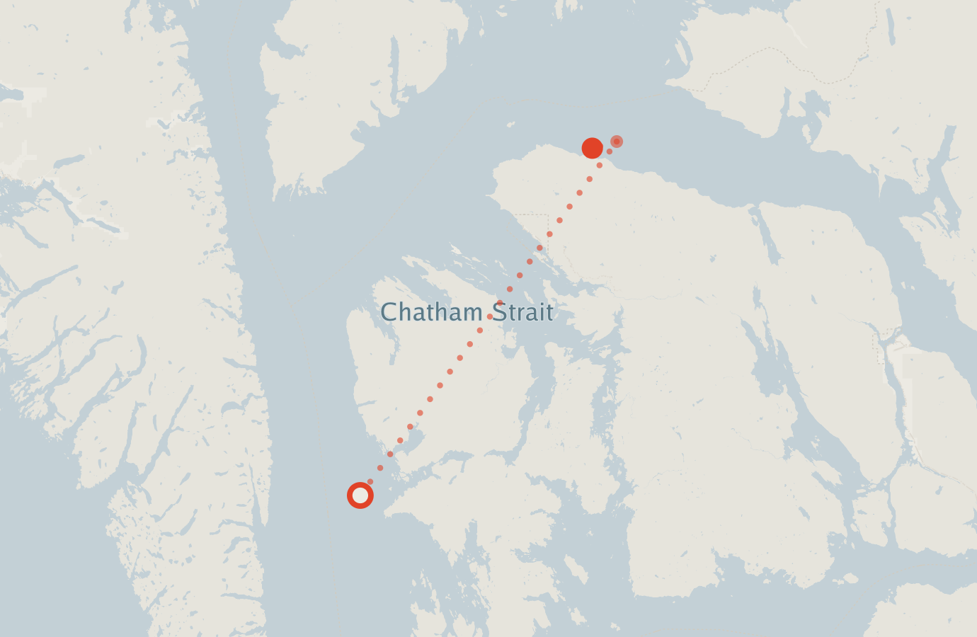Activity map — real sighting points on an OpenStreetMap basemap