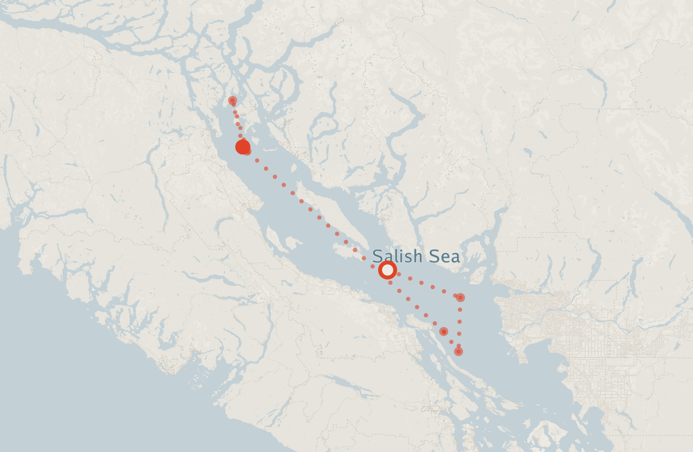 Activity map — real sighting points on an OpenStreetMap basemap