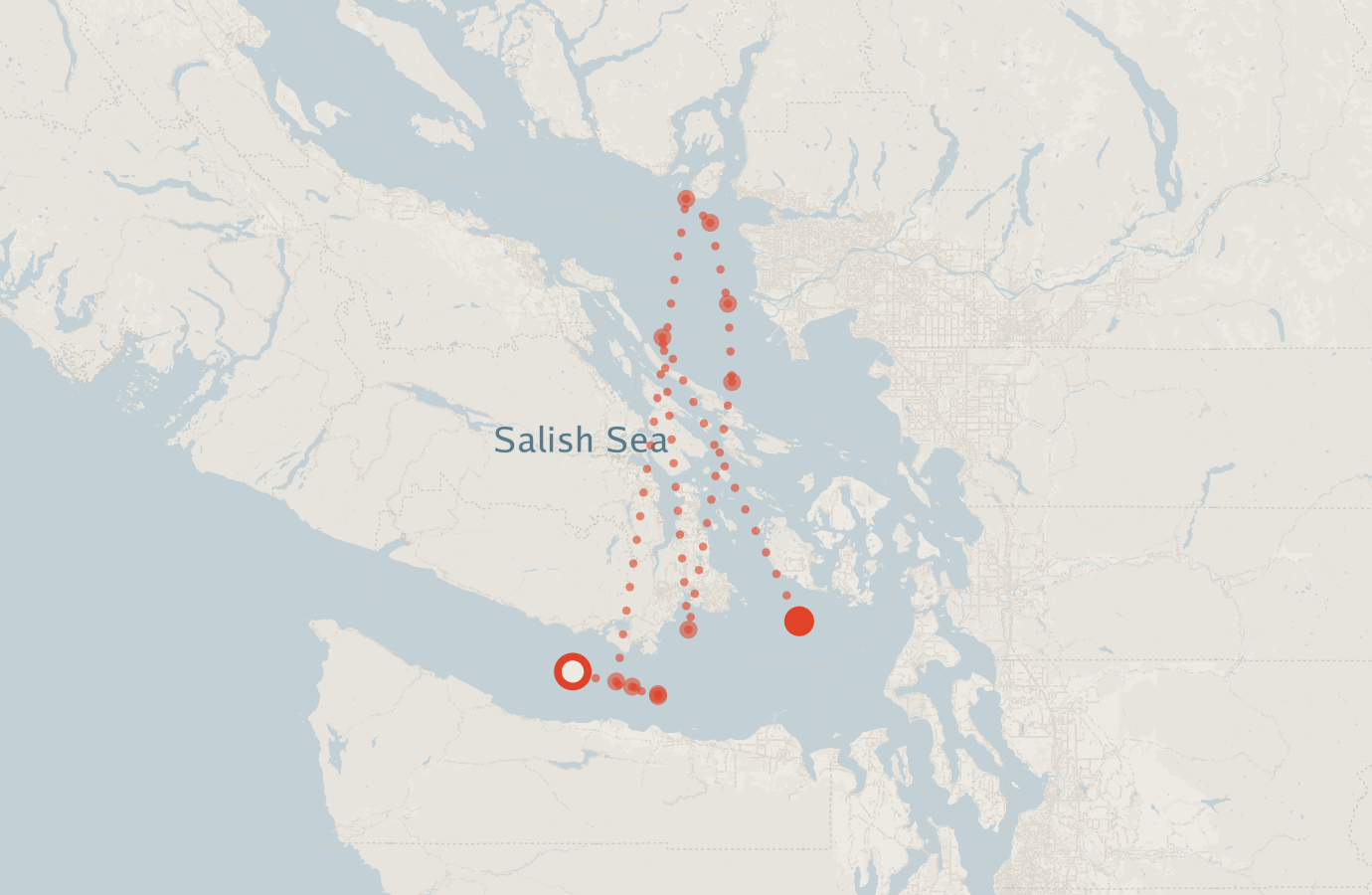 Activity map — real sighting points on an OpenStreetMap basemap