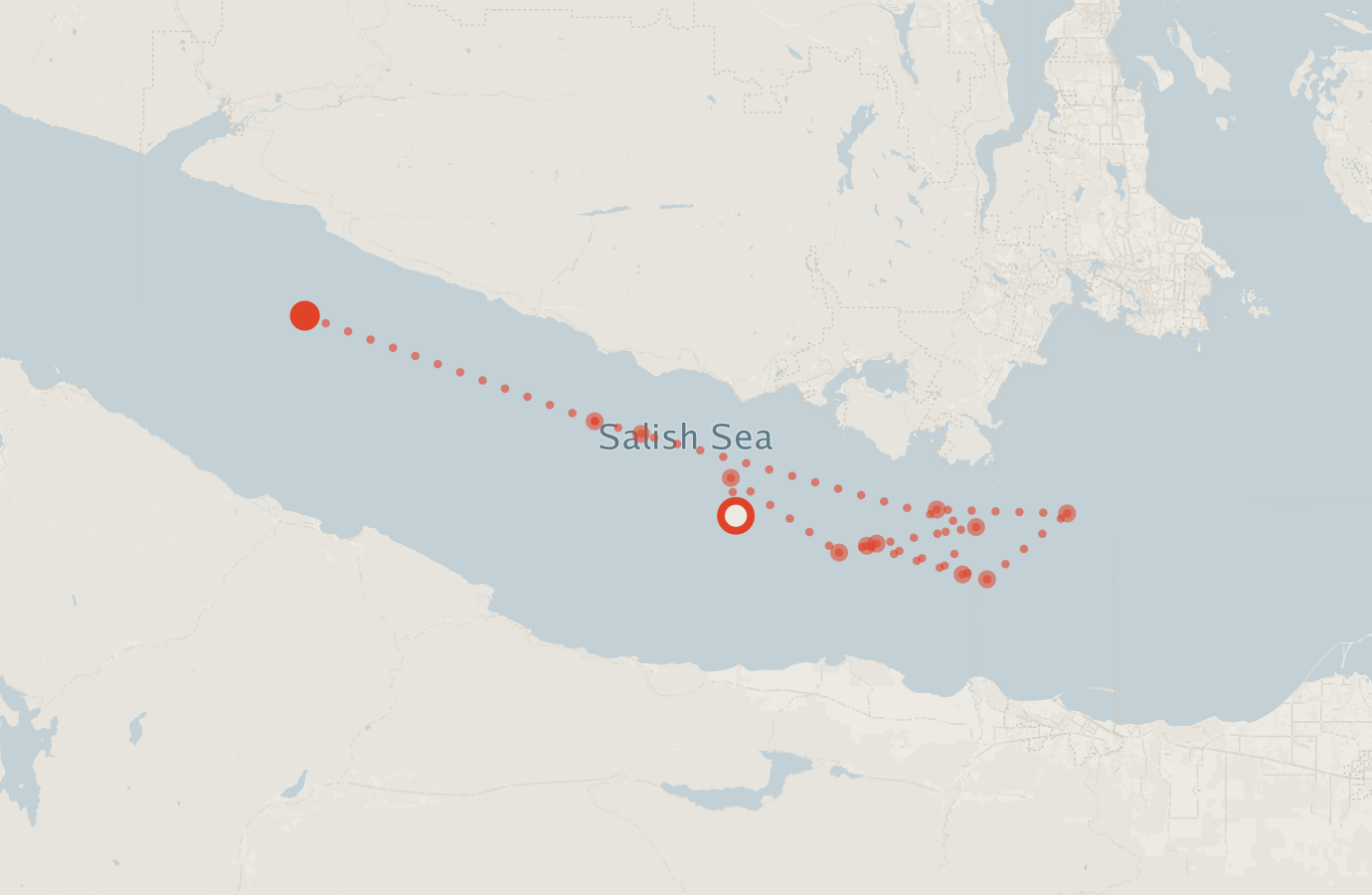 Activity map — real sighting points on an OpenStreetMap basemap