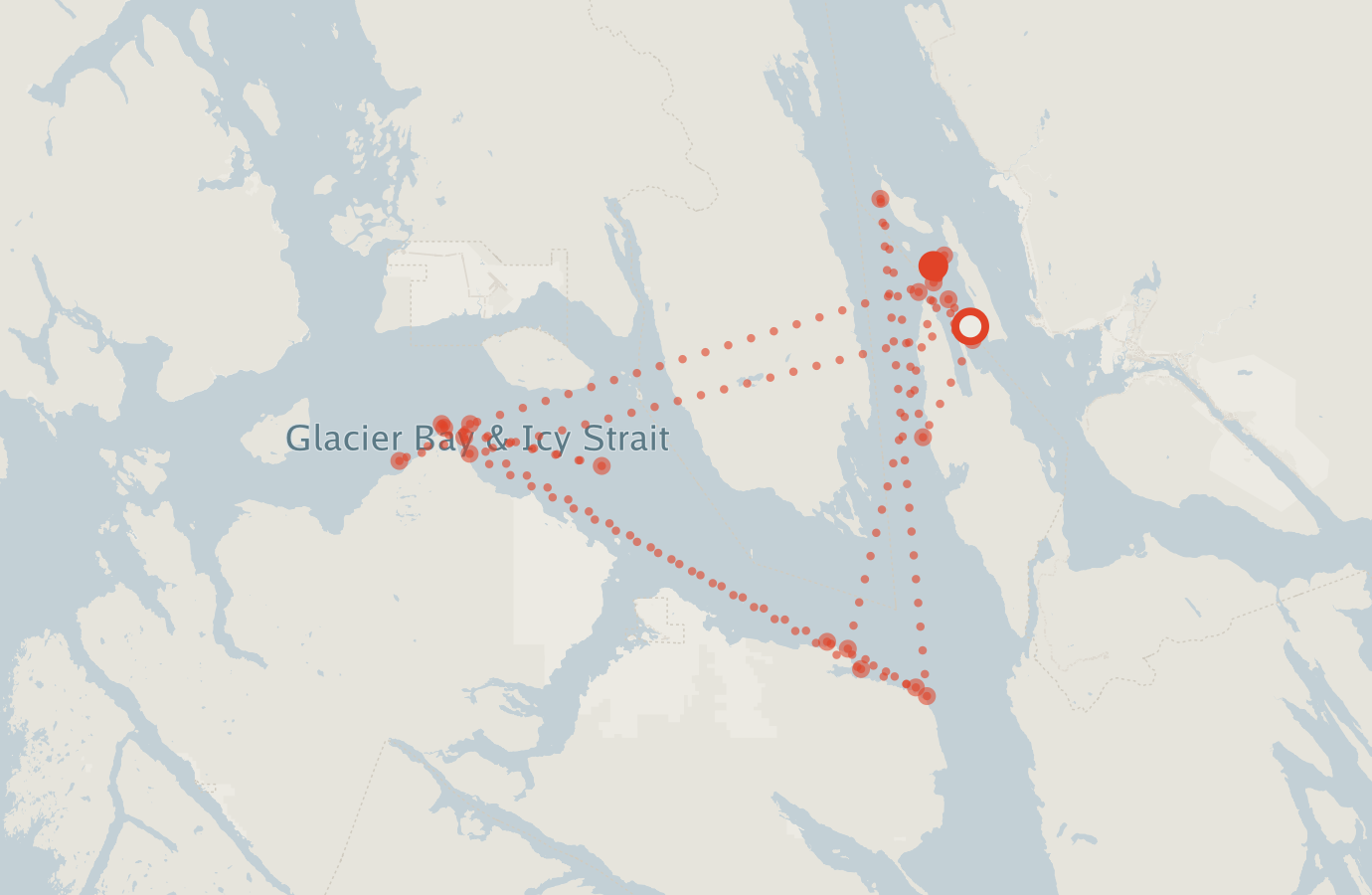 Activity map — real sighting points on an OpenStreetMap basemap