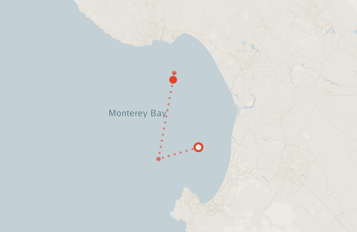 Activity map — real sighting points on an OpenStreetMap basemap