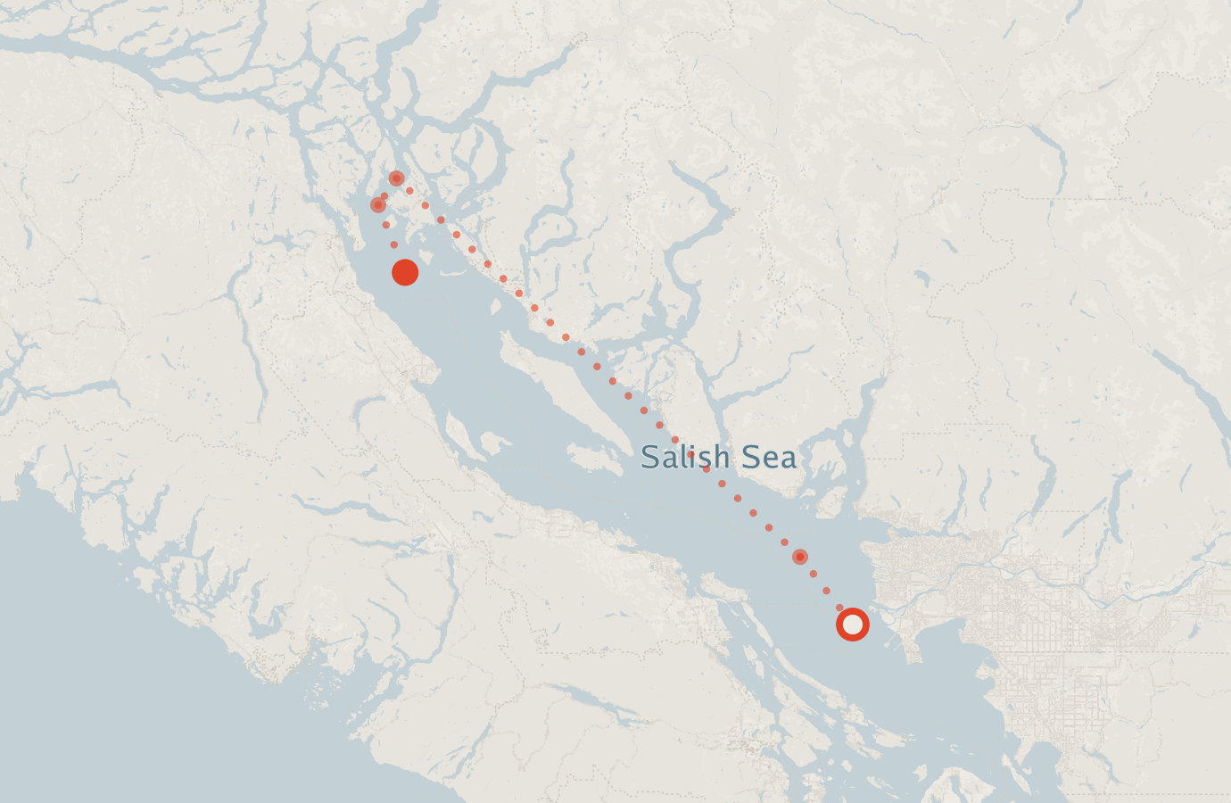 Activity map — real sighting points on an OpenStreetMap basemap