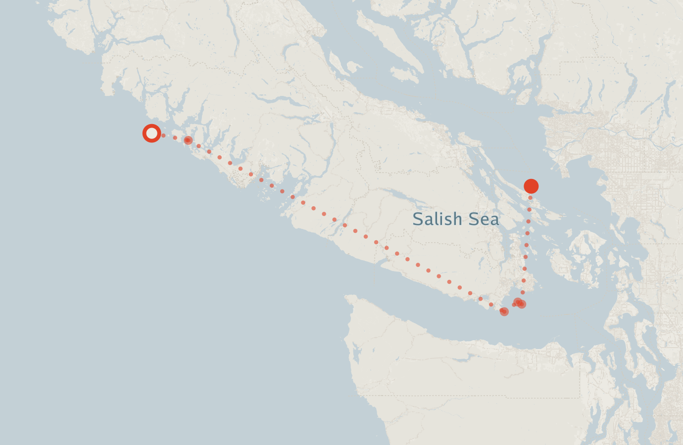 Activity map — real sighting points on an OpenStreetMap basemap