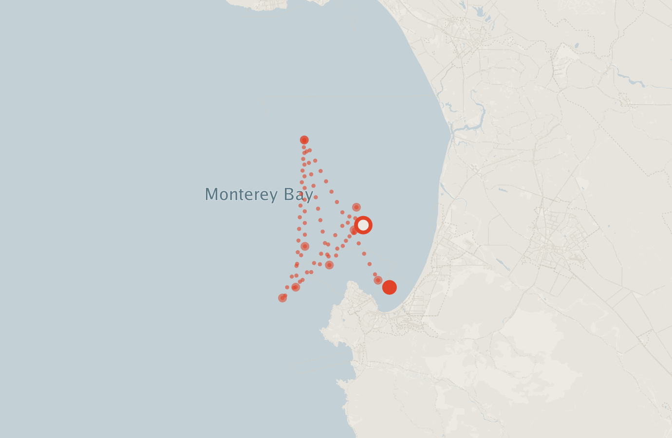Activity map — real sighting points on an OpenStreetMap basemap