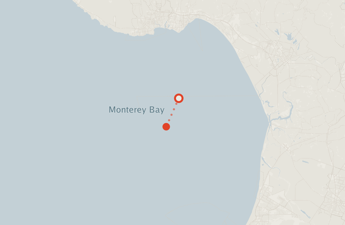 Activity map — real sighting points on an OpenStreetMap basemap