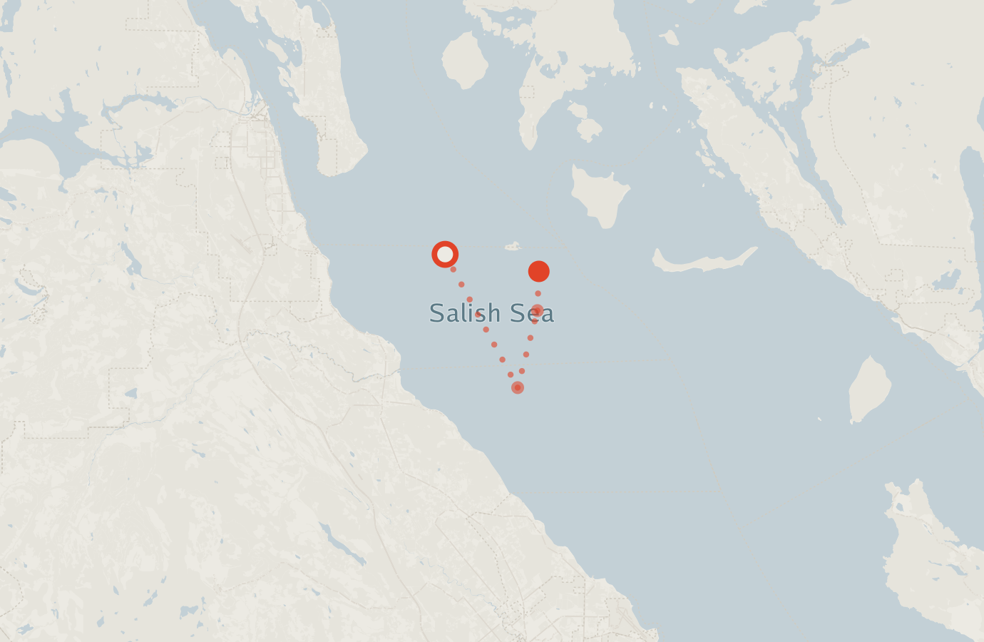 Activity map — real sighting points on an OpenStreetMap basemap