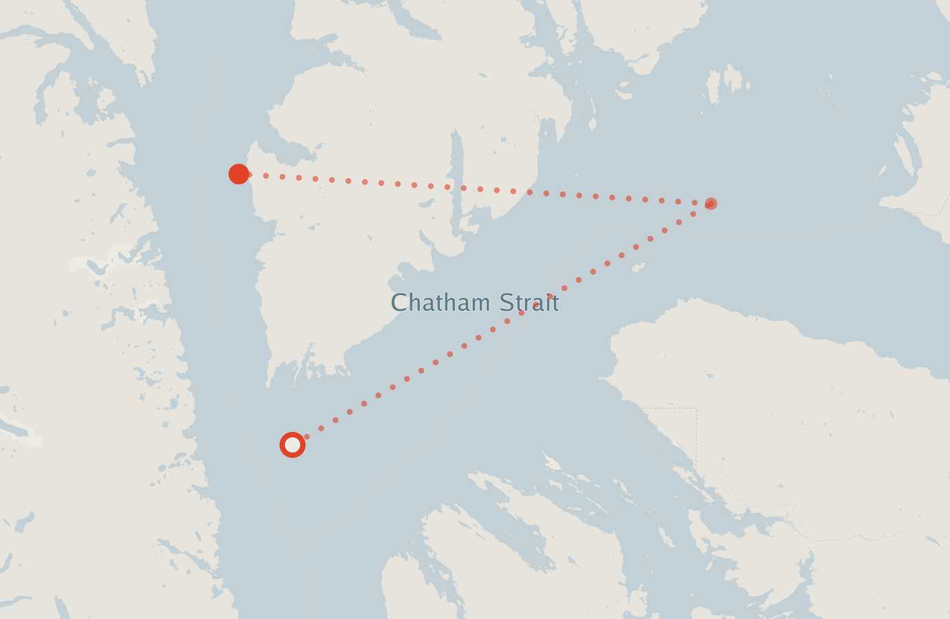 Activity map — real sighting points on an OpenStreetMap basemap