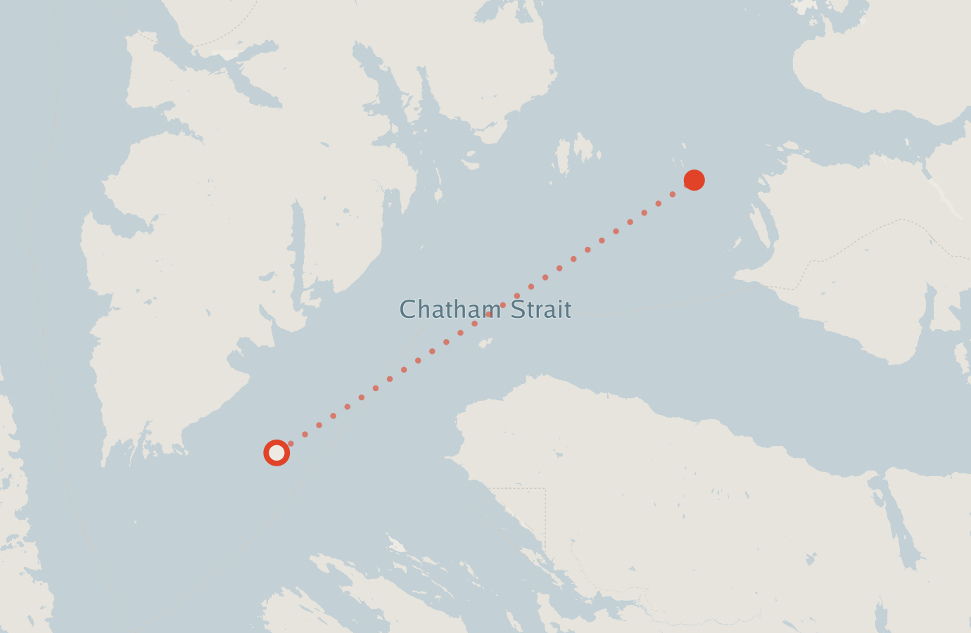 Activity map — real sighting points on an OpenStreetMap basemap