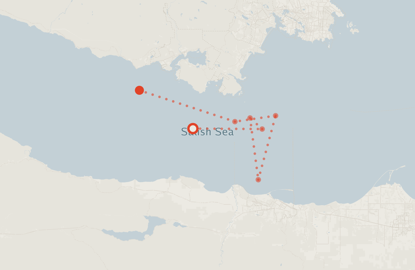 Activity map — real sighting points on an OpenStreetMap basemap