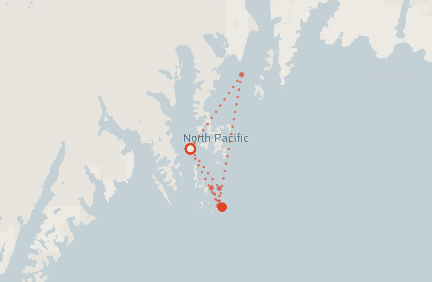 Activity map — real sighting points on an OpenStreetMap basemap